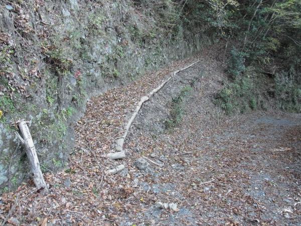 林道をしばらく歩くと京丸山への登山口